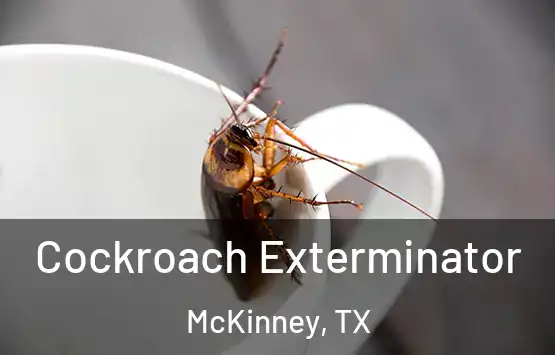  Cockroach Exterminator McKinney, TX