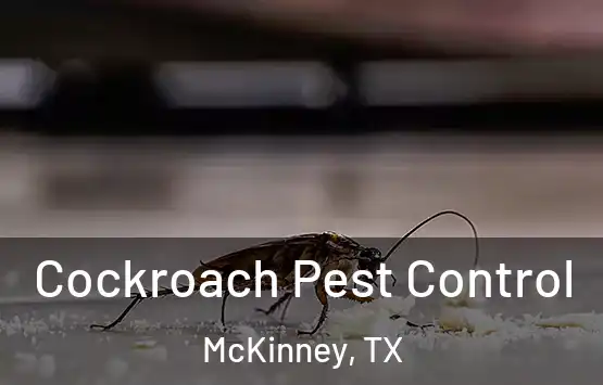  Cockroach Pest Control McKinney, TX