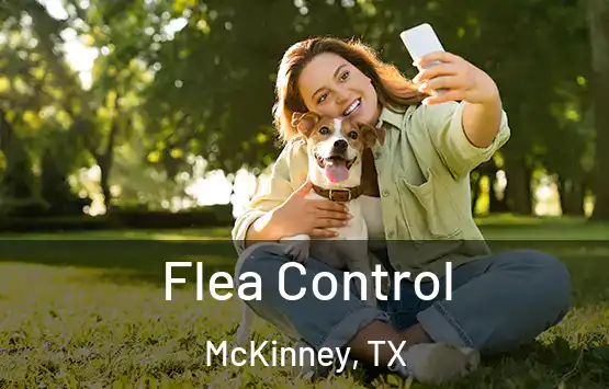  Flea Control McKinney, TX