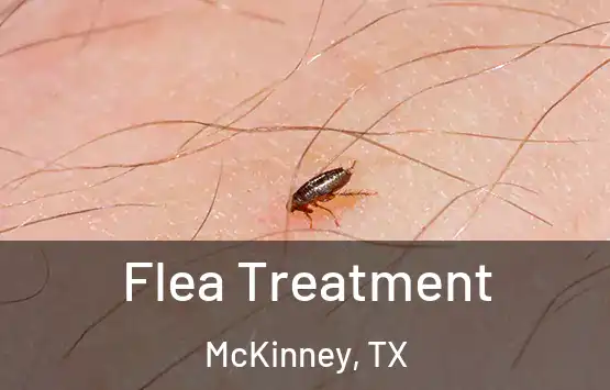  Flea Treatment McKinney, TX