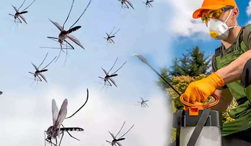 Mosquito Pest Control in McKinney, TX