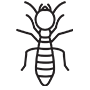 Termites Pest Control McKinney, Texas