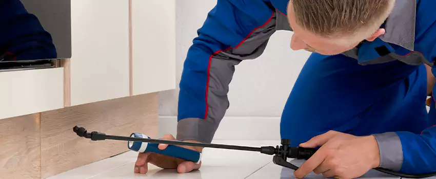 Commercial Pest Control for Offices in McKinney, TX