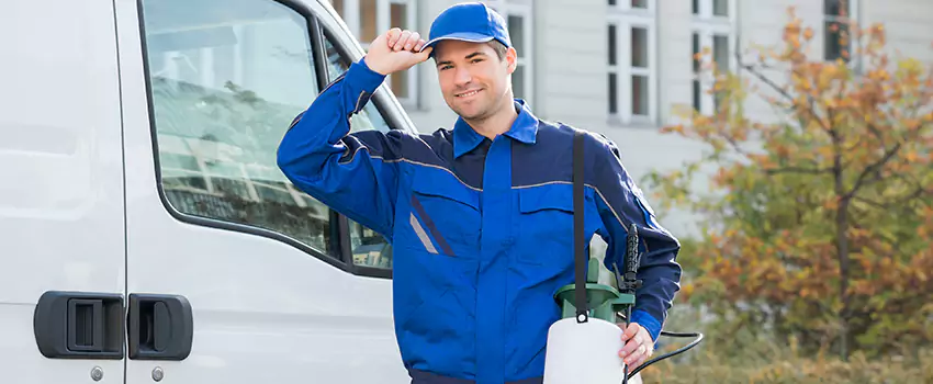 Organic and Chemical Spider Control Options McKinney, TX