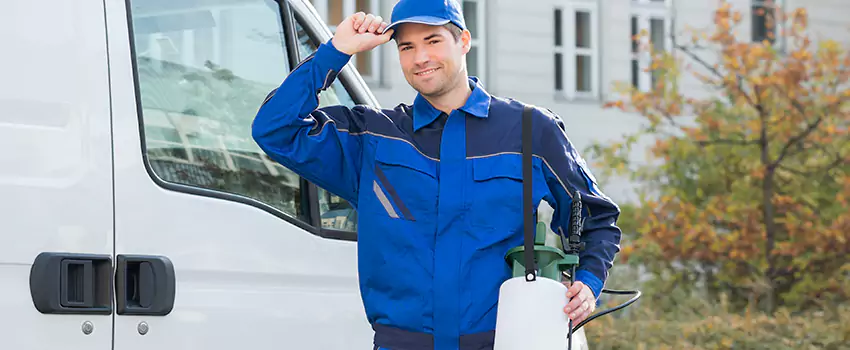 Whitefly Treatment for Bedrooms McKinney, TX