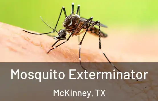  Mosquito Exterminator McKinney, TX