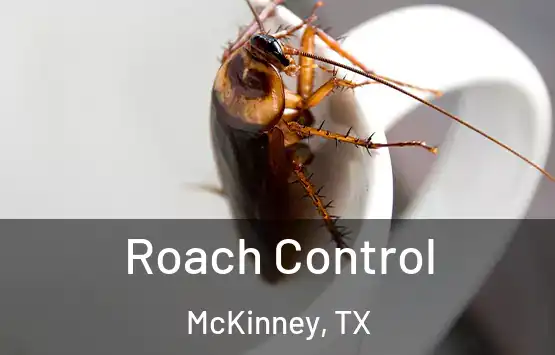  Roach Control McKinney, TX