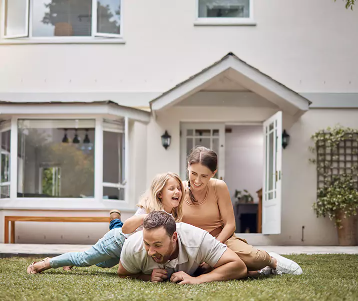 About Ant Control McKinney