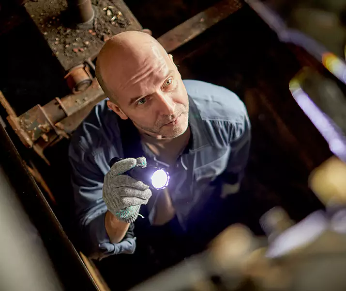 About Pest Inspection McKinney