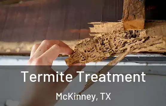  Termite Treatment McKinney, TX